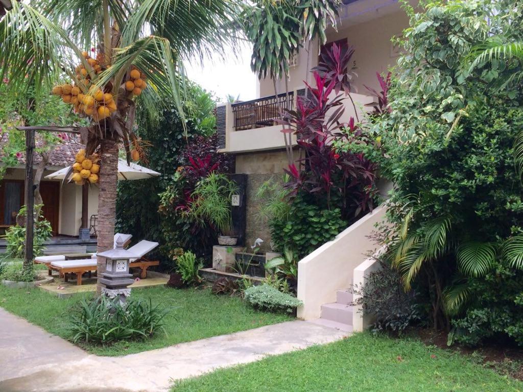 Astina Hotel Lovina Beach Extérieur photo