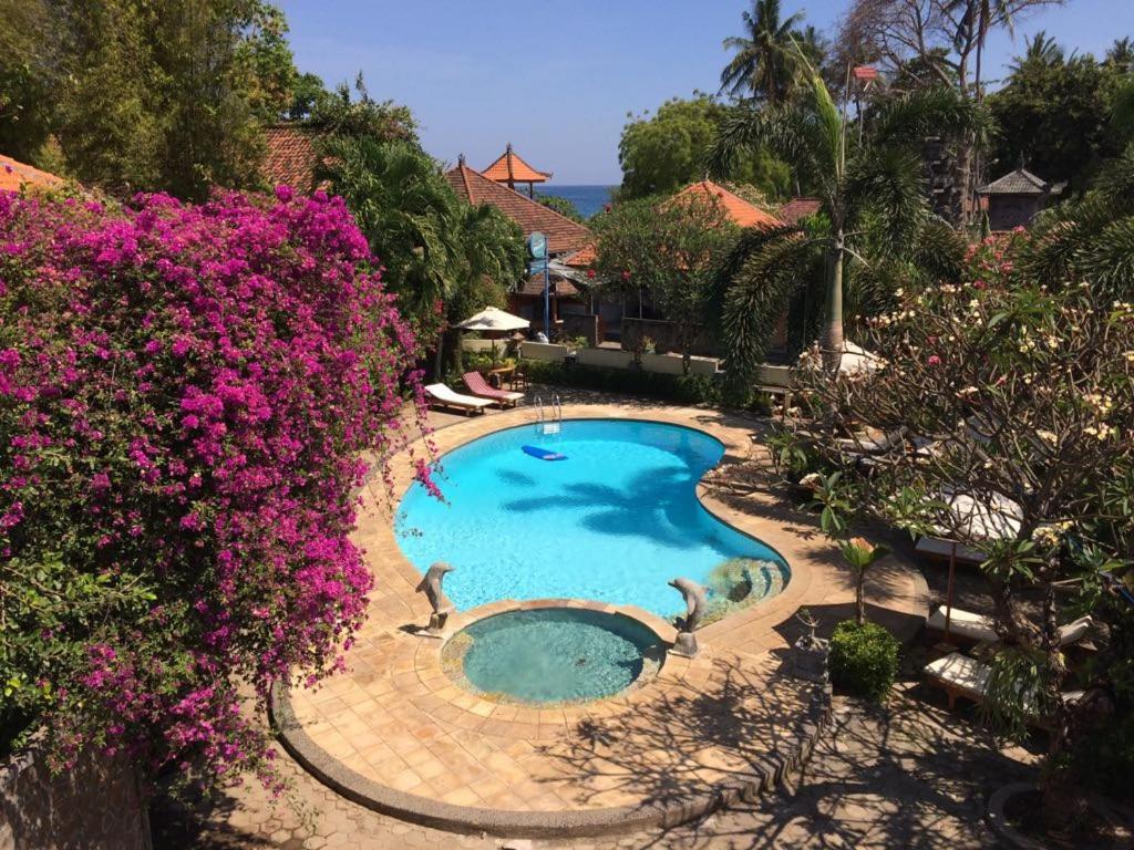 Astina Hotel Lovina Beach Extérieur photo